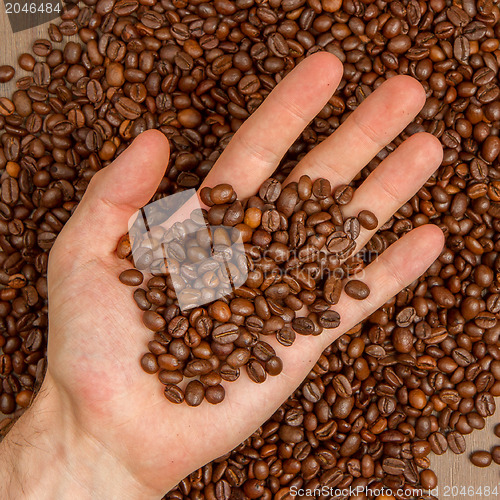Image of Coffee beans in hand