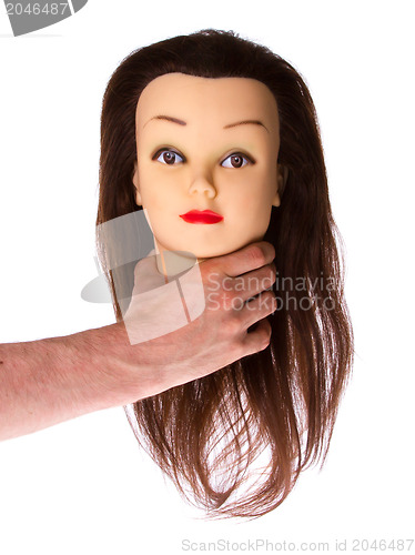 Image of Hand holding a puppet (hair styling)