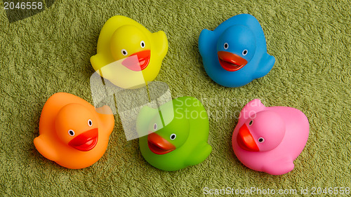 Image of Rubber ducks isolated