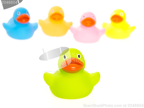 Image of Rubber ducks isolated