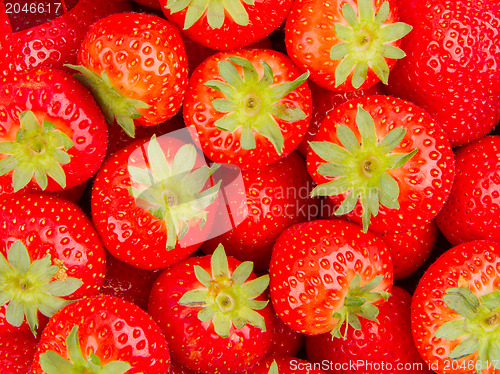 Image of Fresh strawberry 
