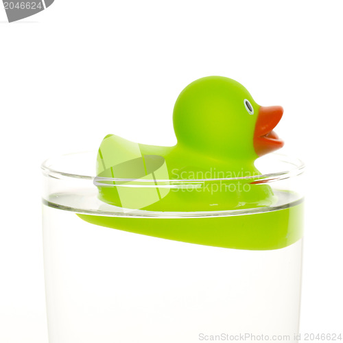 Image of Green duck