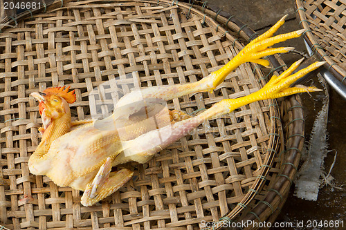 Image of Chicken for consumption on a market