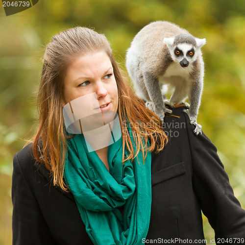 Image of Ring-tailed lemur sitting on a womans shoulder