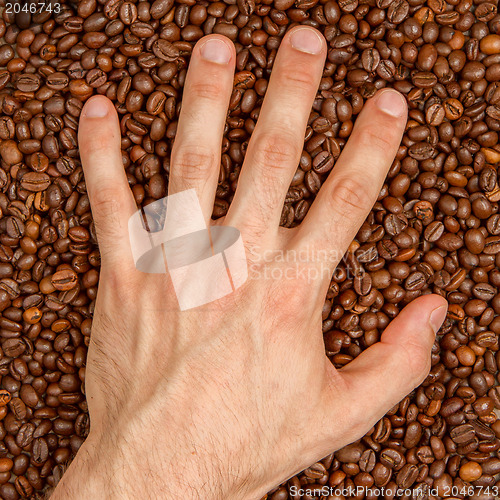 Image of Coffee beans in hand