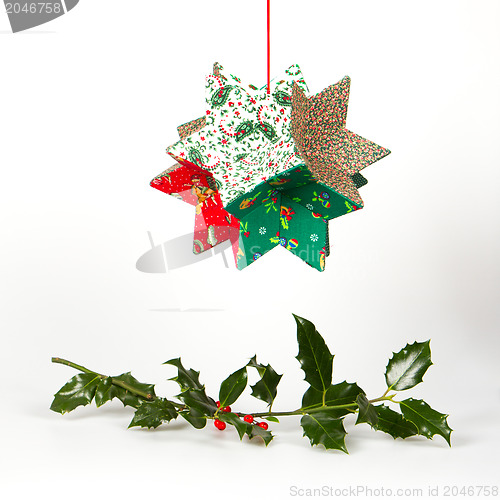 Image of Butcher's broom and christmas decoration, isolated