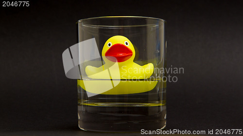 Image of Yellow rubber duck in a whiskyglass 