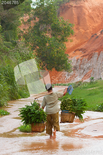 Image of MUI NE, VIETNAM, 26 JULY 2012 - A Vietnamese farmer (woman) her 