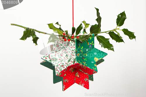 Image of Butcher's broom and christmas decoration, isolated