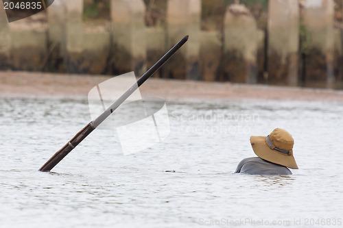 Image of A vietnamese fisherman is searching for snakes and shells in the