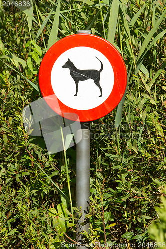 Image of Old damaged sign in the bushes - dogs forbidden