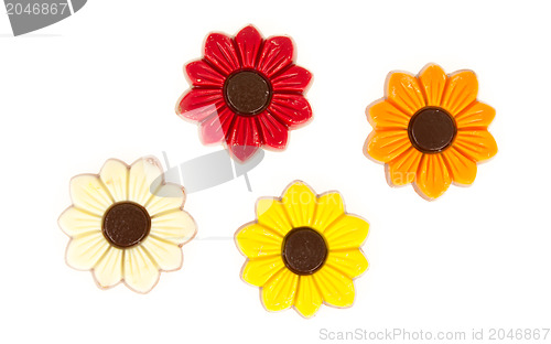 Image of Different colors of chocolate flowers
