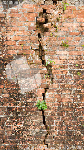 Image of Brick wall with a crack and plants