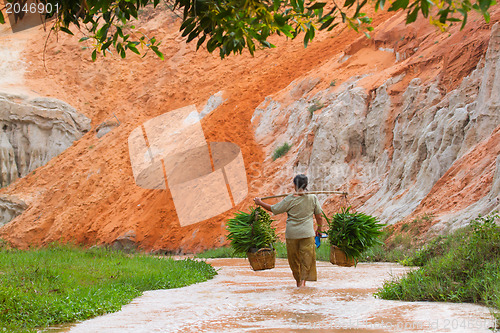 Image of MUI NE, VIETNAM, 26 JULY 2012 - A Vietnamese farmer (woman) her 