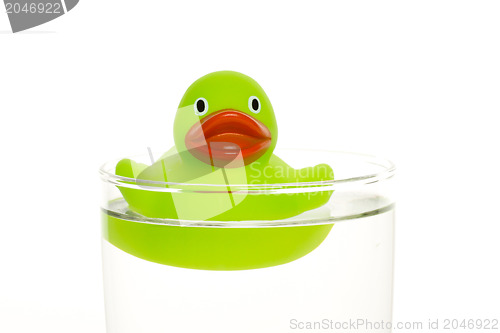 Image of Green duck