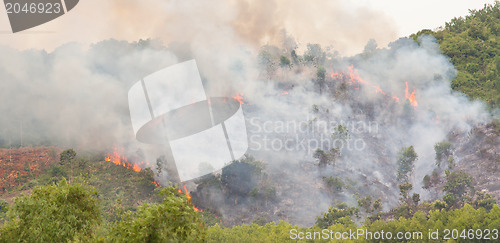 Image of Starting forrest fire with lots of smoke