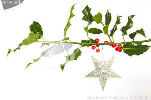 Image of Very old silver star hanging from a twig (butchers broom)