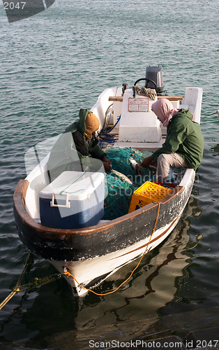 Image of Landing the catch