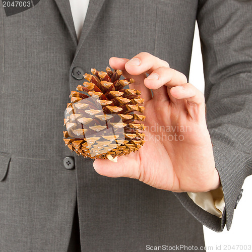 Image of Man in grey suit is holding a pine cone