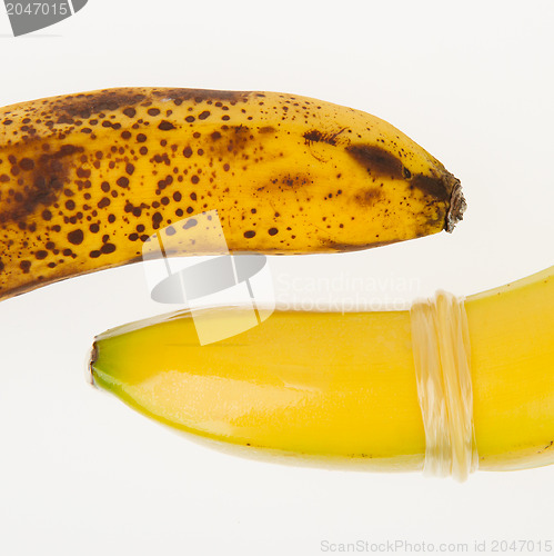 Image of Healthy banana with condom and ugly banana without condom