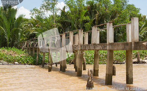 Image of Concrete bridge into the jungle