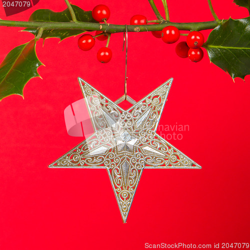 Image of Old silver star hanging in Butcher's broom