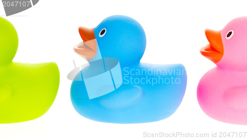 Image of Rubber ducks isolated