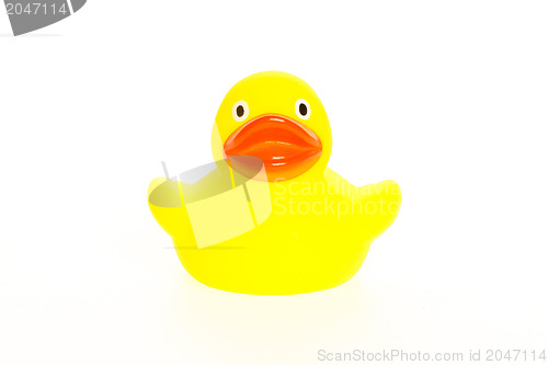 Image of Yellow duck isolated