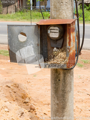 Image of Nest of a sparrow in a cabinet with electrical meter 