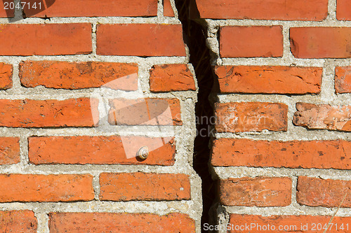 Image of Pathway of a snail blocked