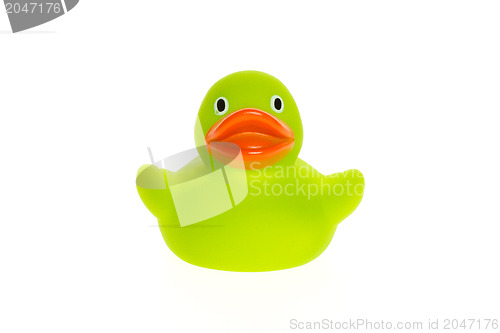 Image of Green duck isolated