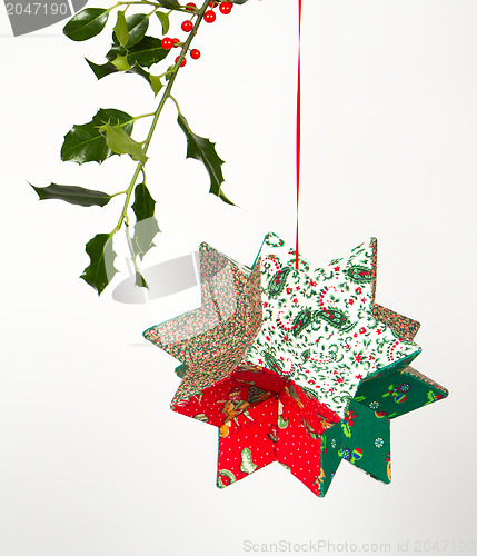 Image of Butcher's broom and christmas decoration, isolated