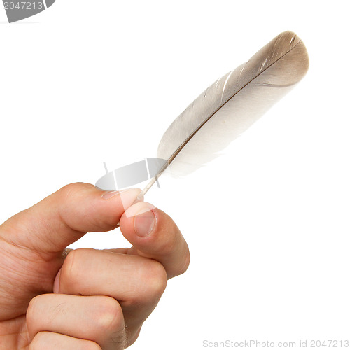 Image of Man holding a small feather