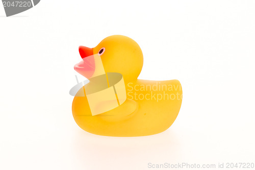 Image of Orange duck isolated