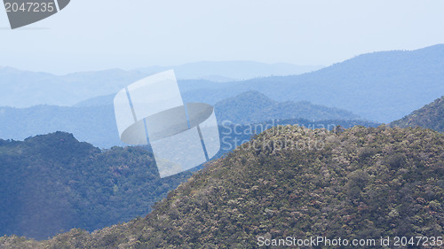 Image of View of a the Vietnamese jungle