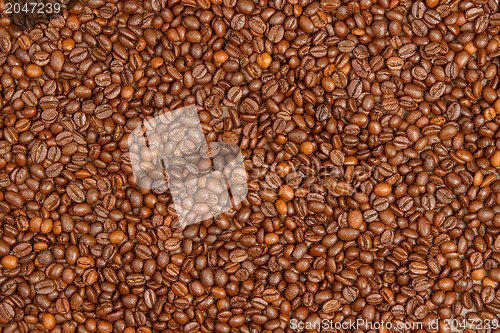 Image of Coffee beans background 