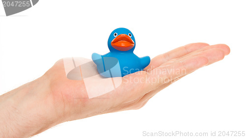 Image of Blue rubber duck on a hand