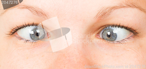 Image of Women eye, close-up, blue