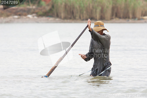 Image of A vietnamese fisherman is searching for snakes and shells in the