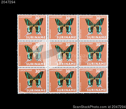 Image of SURINAME - CIRCA 1960: Stamps printed by Suriname, shows butterf