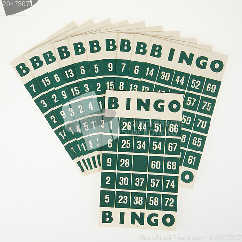 Image of Green bingo cards isolated