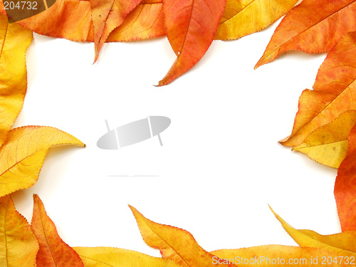 Image of Autumn leaves frame