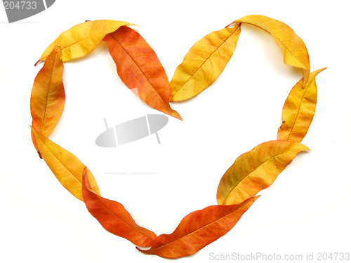 Image of Autumn love heart shape