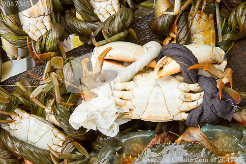 Image of Crab for cunsumption on a Vietnamese market