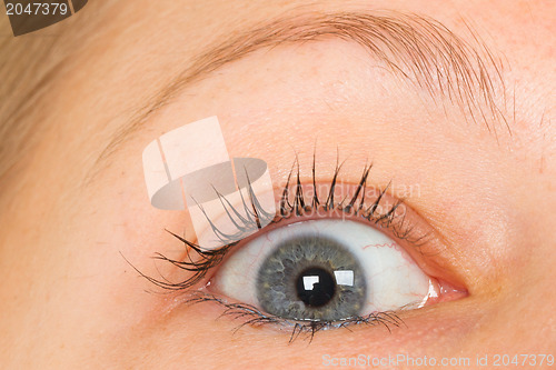 Image of Women eye, close-up, blue