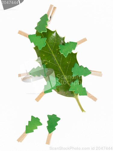 Image of Small clothes pin with a christmas tree on a leaf (butchers broo