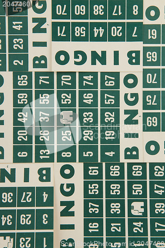 Image of Green bingo cards isolated