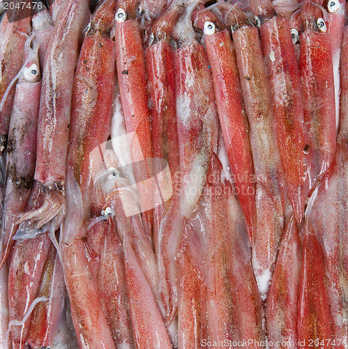 Image of Fresh squid in the market 