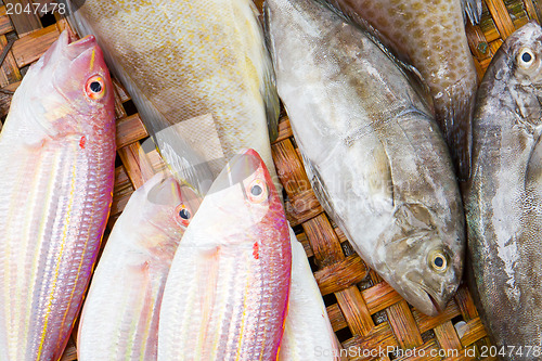 Image of Close up of lovely fresh fish in a wet market 