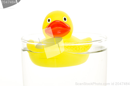 Image of Yellow duck